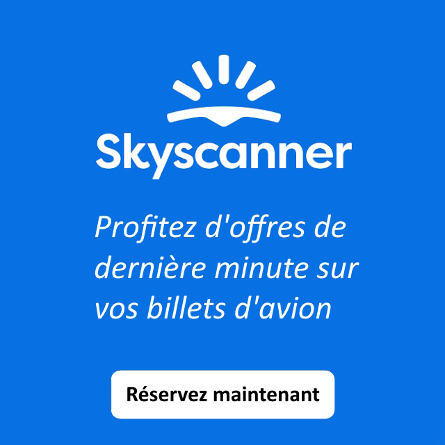 LES VOLS LES MOINS CHERS AVEC SKYSCANNER